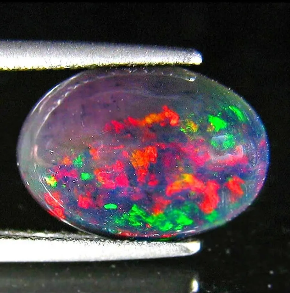 Polished oval black opal cabochon held in metal tweezers with vibrant red and green play-of-color.