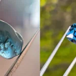 Cobalt Spinel: 6 Reasons This Rare Blue Gem Beats Sapphire