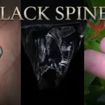 Black Spinel