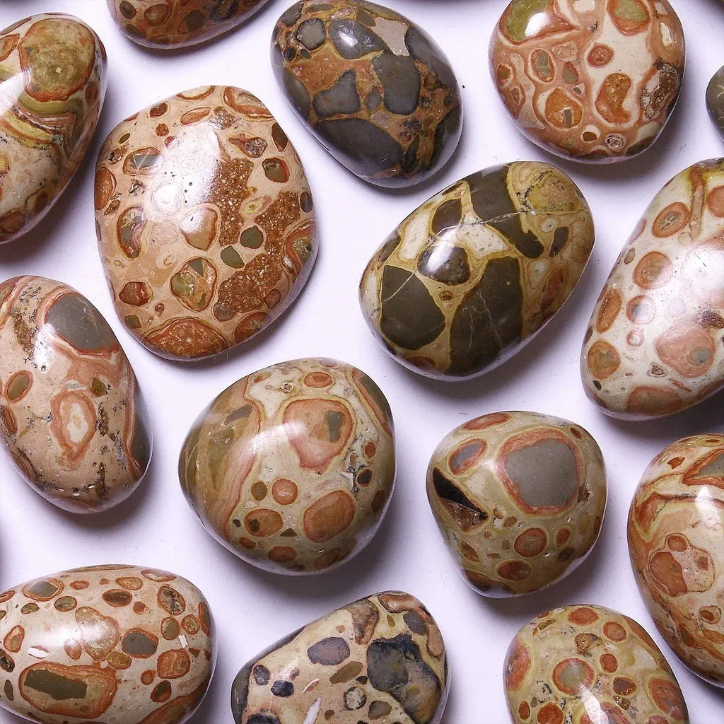 natural tumbled leopardite stones with high-gloss finish and distinct orbicular animal print markings.