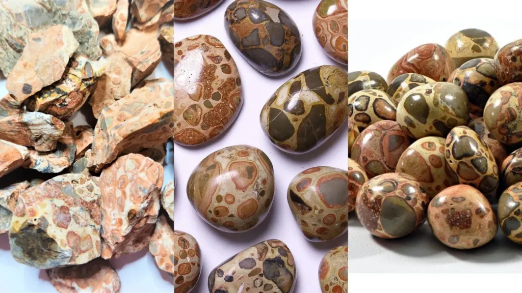 Leopardite: 8 Honest Facts About This Confusingly Named Stone