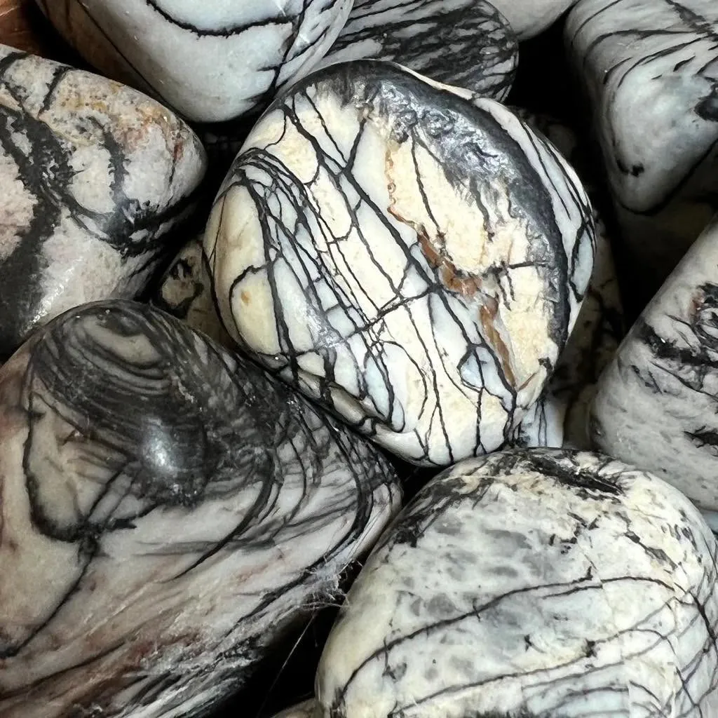 Polished tumbled spiderweb jasper stones displaying distinct black webbed veining on a cream matrix for healing grids.