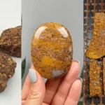 Elephant Jasper