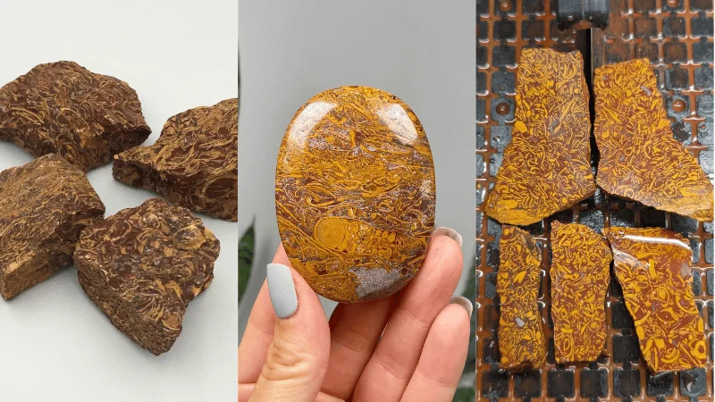 Elephant Jasper