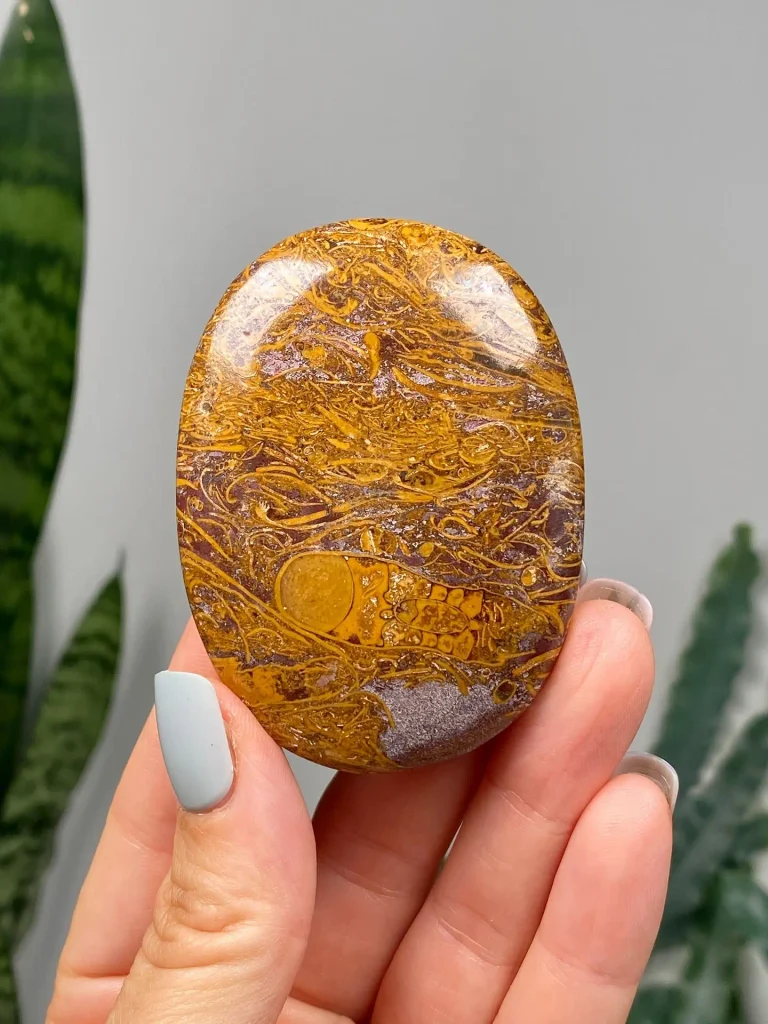 Natural polished Elephant Jasper oval palm stone (Mariam Stone / Calligraphy Jasper) displaying fossilized shell script patterns for meditation and crystal healing.