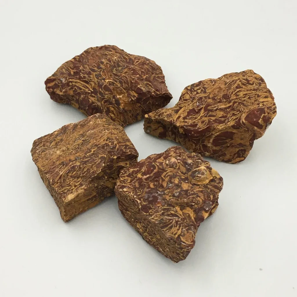 Natural raw rough Elephant Jasper stones (Mariam Stone / Calligraphy Stone) displaying fossilized shell script patterns for lapidary and crystal healing