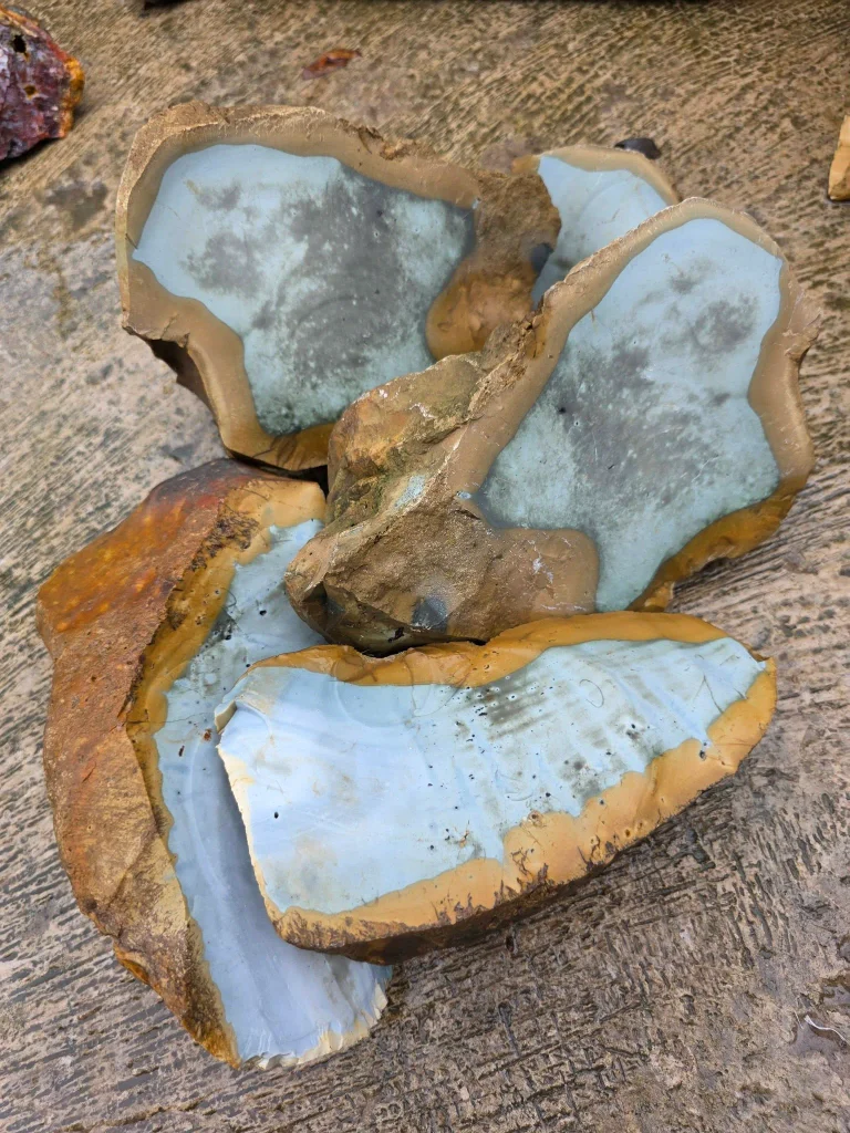 Natural raw rough Polychrome Jasper (Madagascar Desert Jasper) boulders with soft blue centers and caramel-yellow bands for lapidary slabbing and carving.