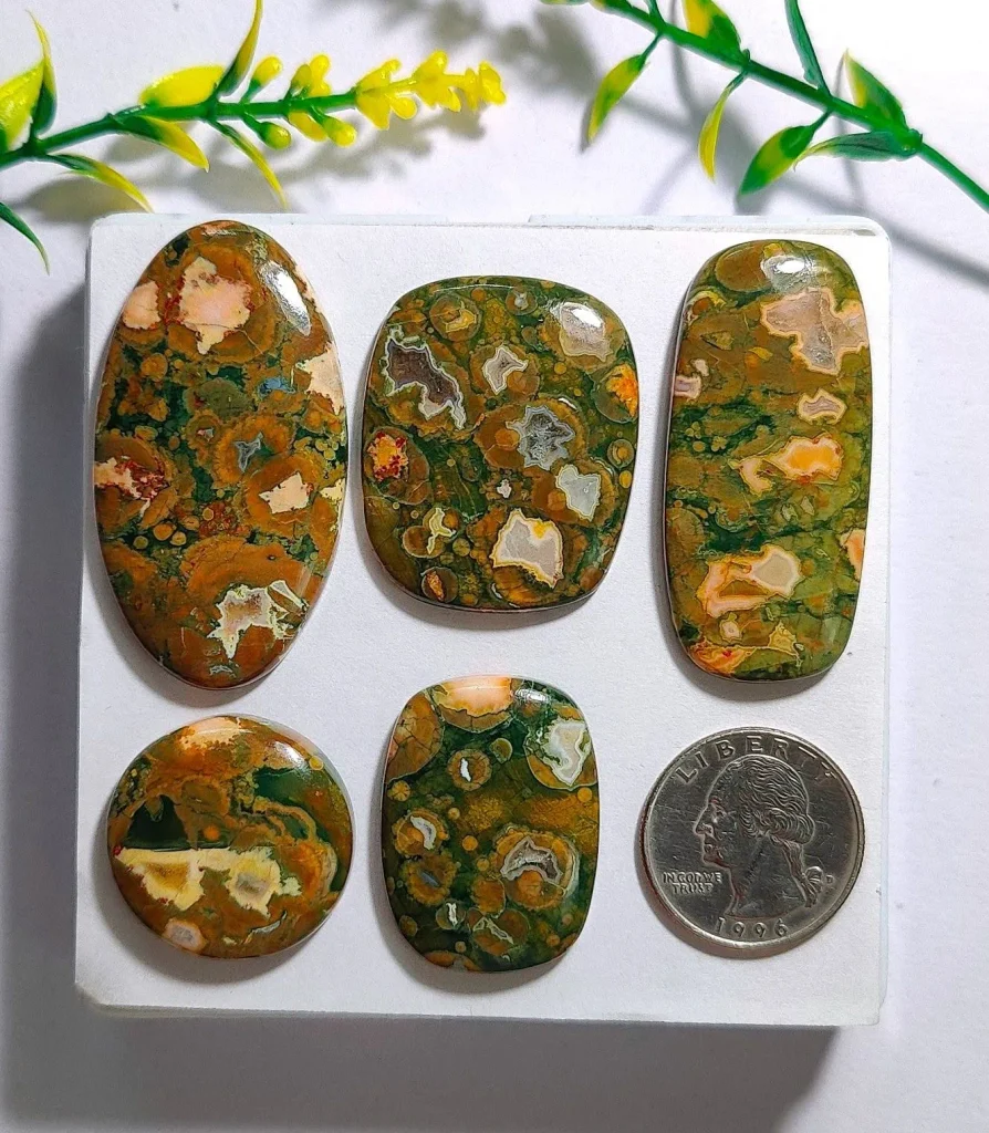 Natural rainforest rhyolite gemstone cabochons displaying orbicular moss green, mustard yellow, and agate pockets for jewelry making.