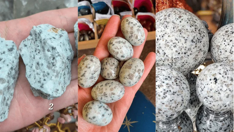 kiwi jasper