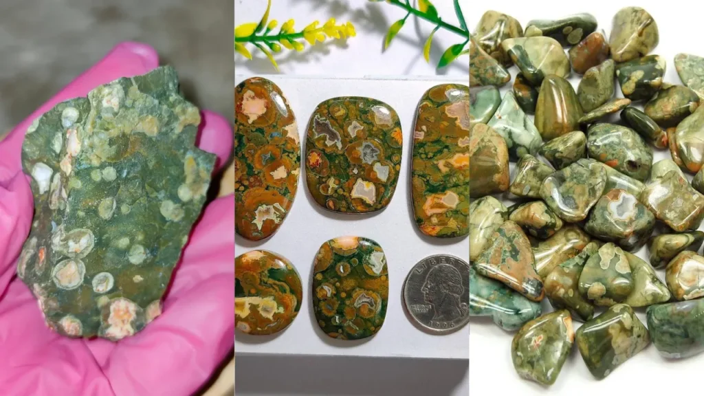 rainforest rhyolite