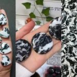 zebra jasper